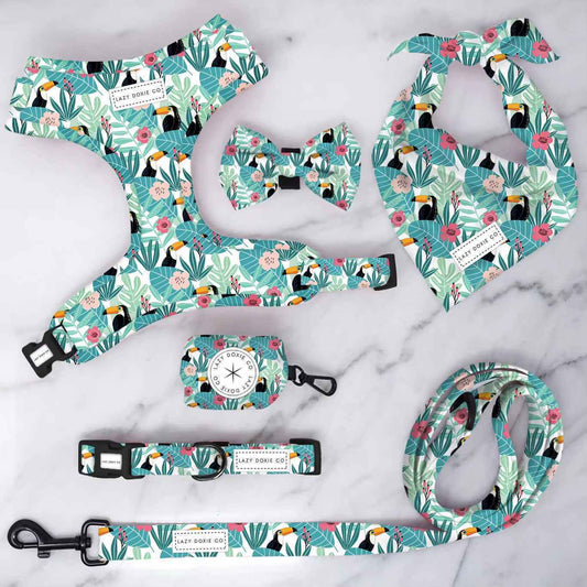 Snag + Go Bundle - Doxiecana