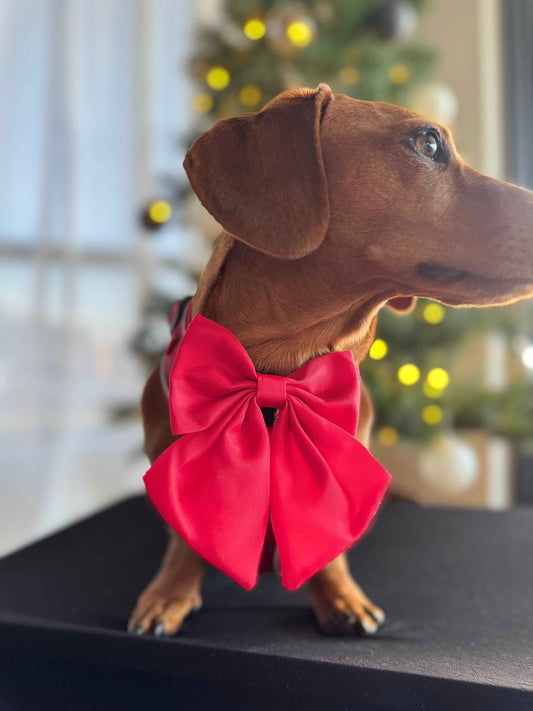 The Full Collection - Santa's Little Gift