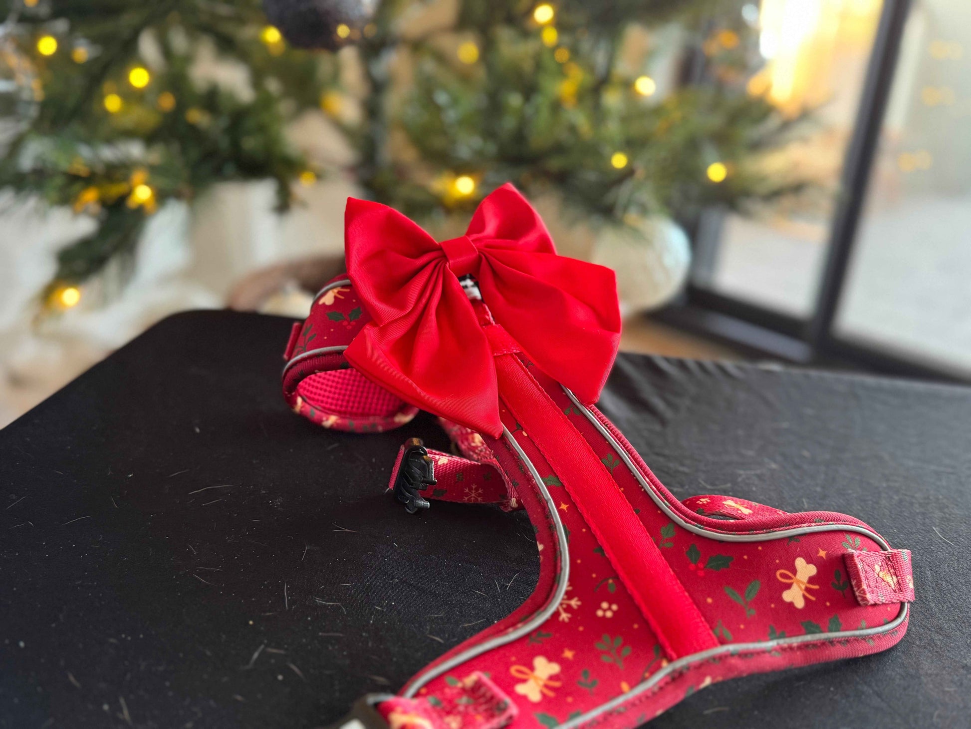 Collar - Santa's Little Gift