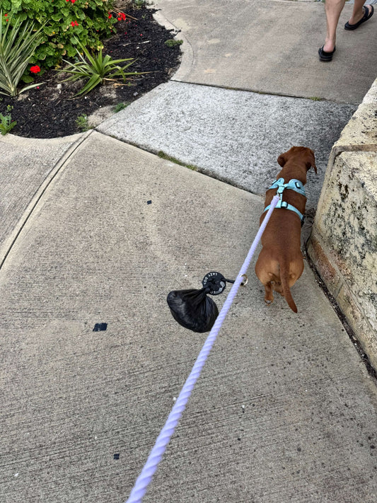 Poop Bag Clips - Lazy Doxie Co