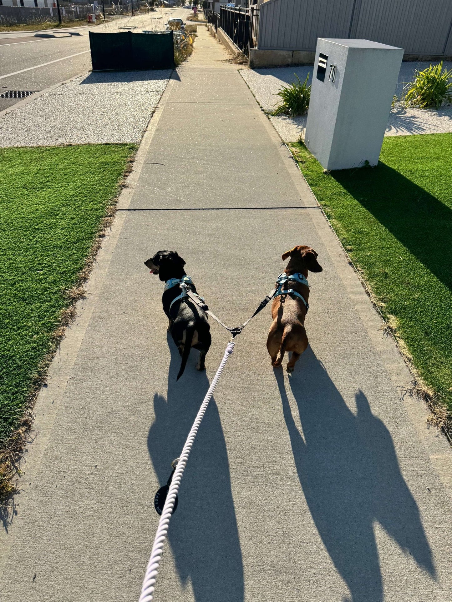 Dual Leash Splitters - Lazy Doxie Co