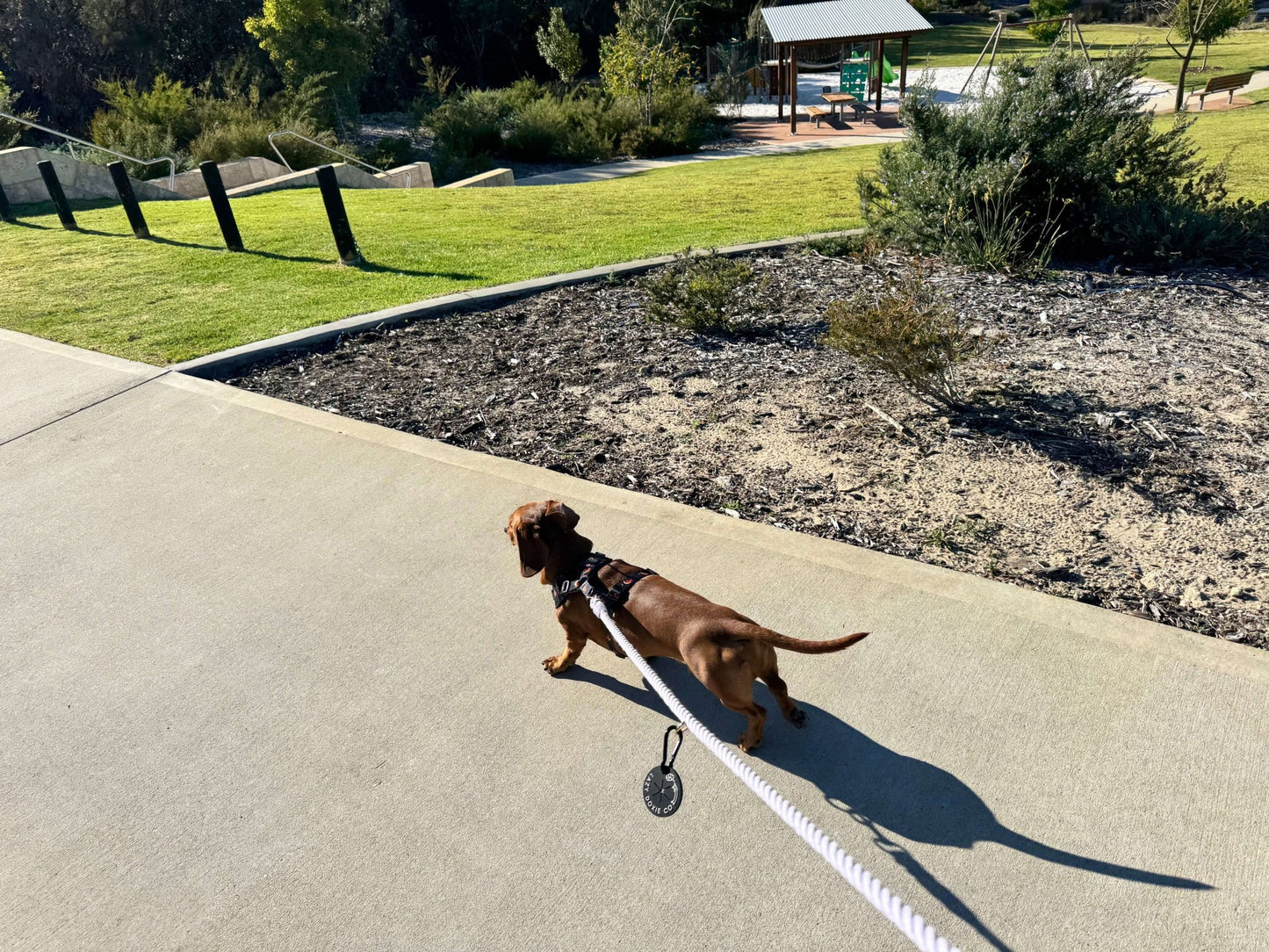 Poop Bag Clips - Lazy Doxie Co