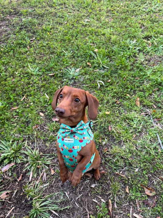 Harness - Saucy Snags - Lazy Doxie Co