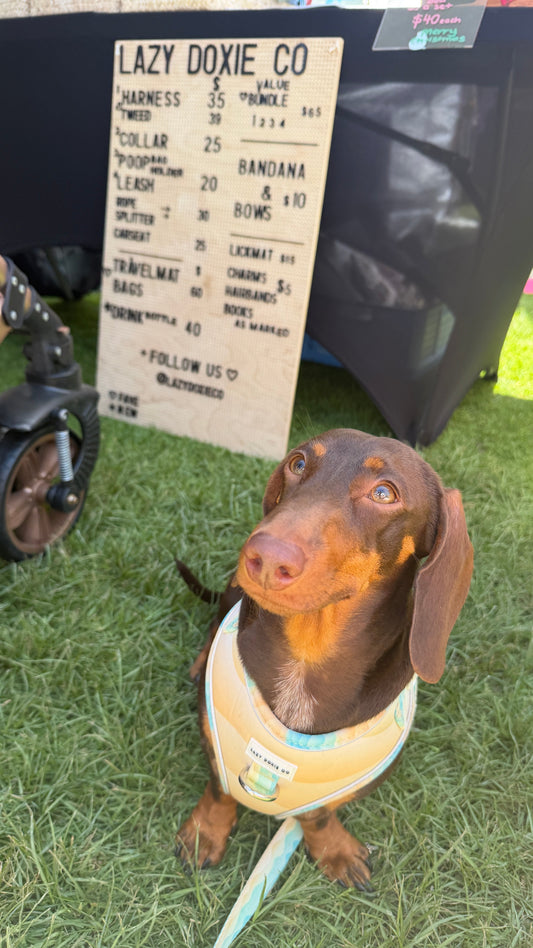 Mulit-Functional Rope Leash - Doxie Skies