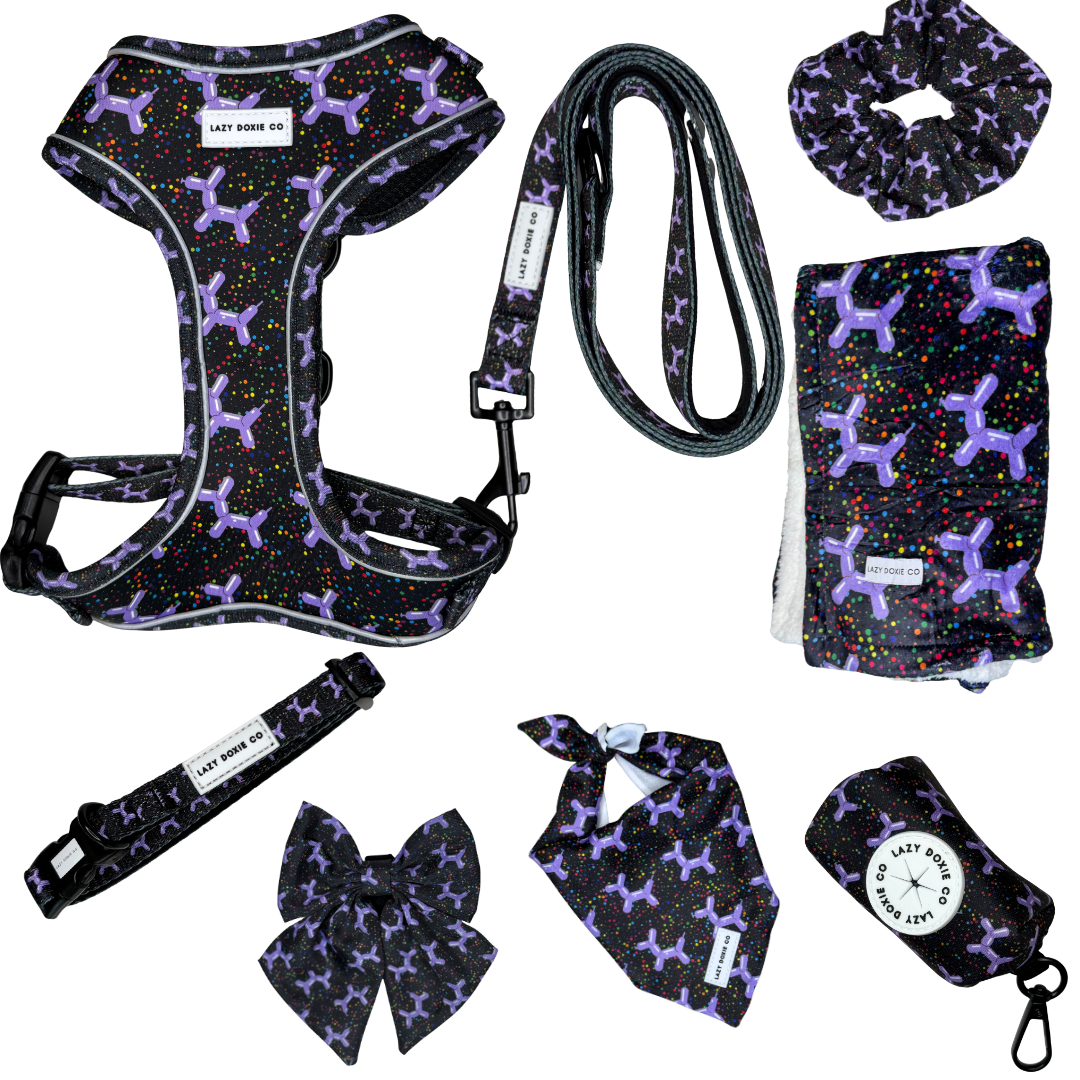 Lazy Luxe Bundle - Let's Pawty - Lazy Doxie Co