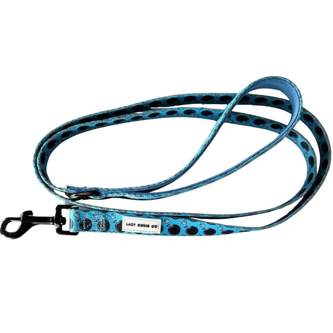 Snag+Go Harness Bundle - Doxie Dunk