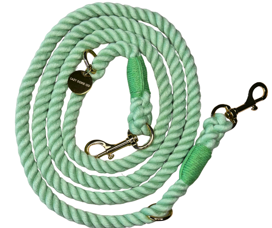 Mulit-Functional Rope Leash - Mint to Adventure