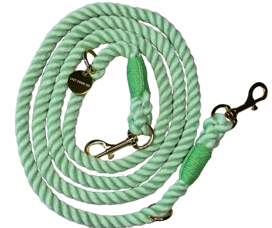 Mulit-Functional Rope Leash - Mint to Adventure