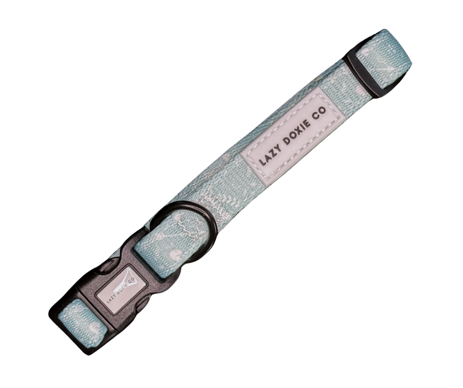 Collar - Mint to Adventure