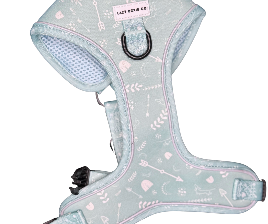 Harness - Mint to Adventure