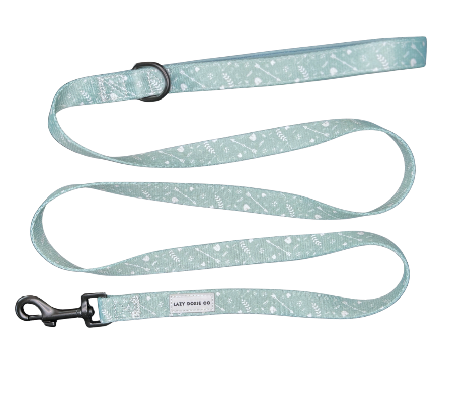 Leash - Mint to Adventure