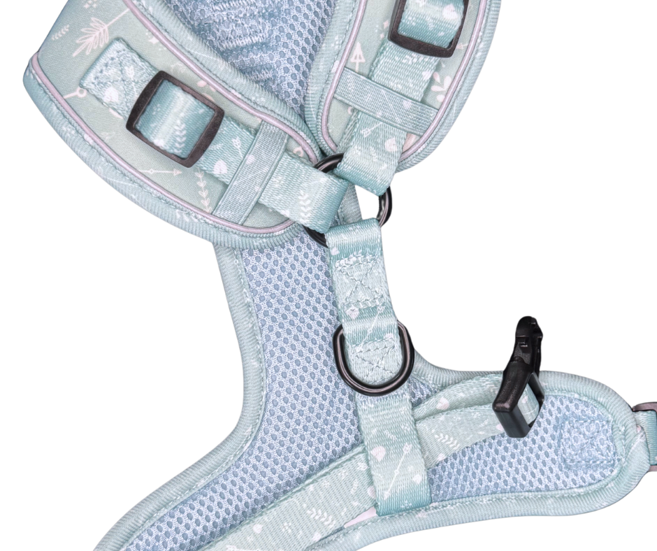 Harness - Mint to Adventure