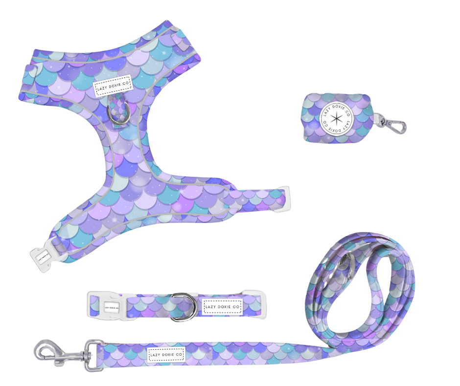 Snag + Go Bundle - 'Pawmaid Dreams'