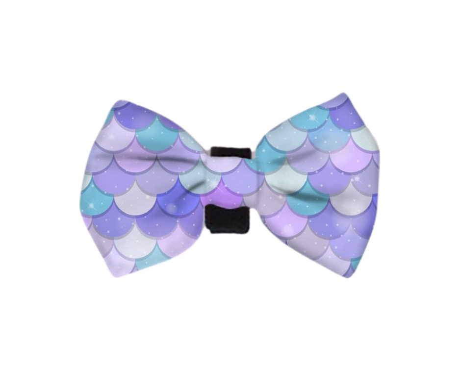 Dachshund Bows - 'Pawmaid Dreams'