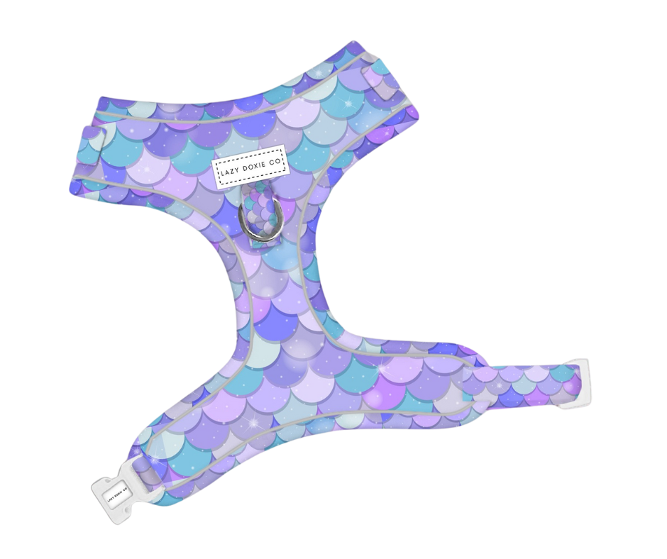 Dachshund Harness - 'Pawmaid Dreams'