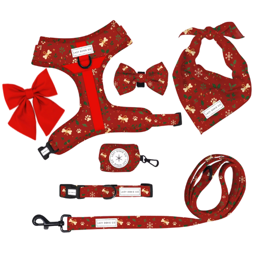 The Full Collection - Santa's Little Gift