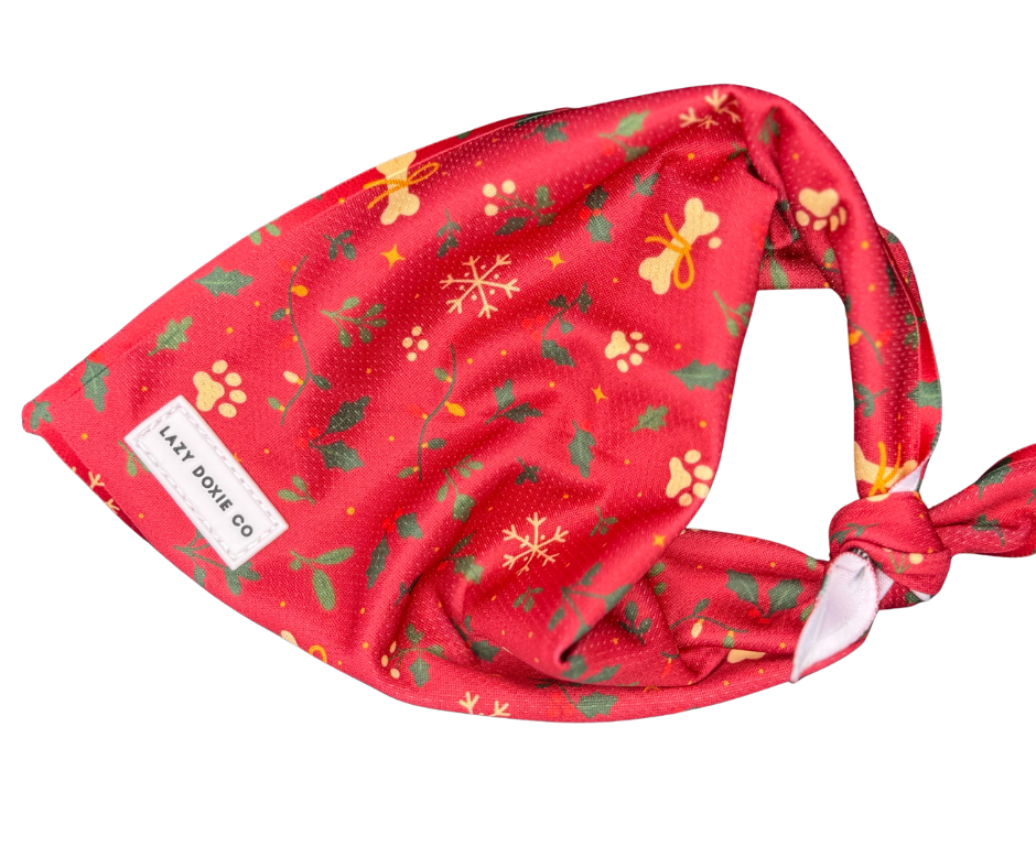 Bandana - Santa's Little Gift