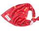 Bandana - Santa's Little Gift