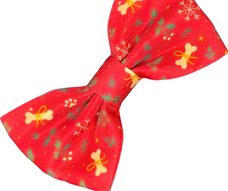 The Full Collection - Santa's Little Gift