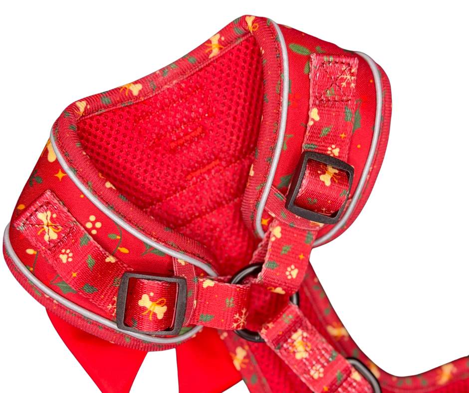 Harness - Santa's Little Gift