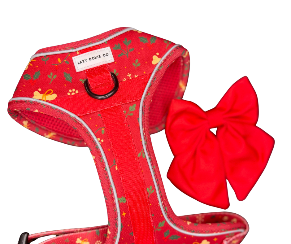 The Full Collection - Santa's Little Gift