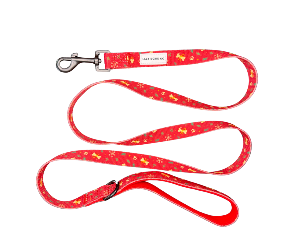 Leash - Santa's Little Gift