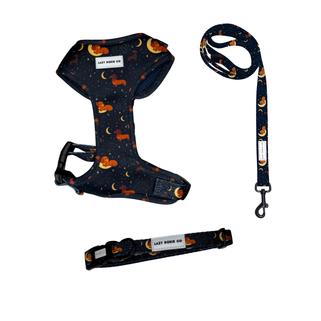 Snag + Go Bundle - Dashtrology - Lazy Doxie Co