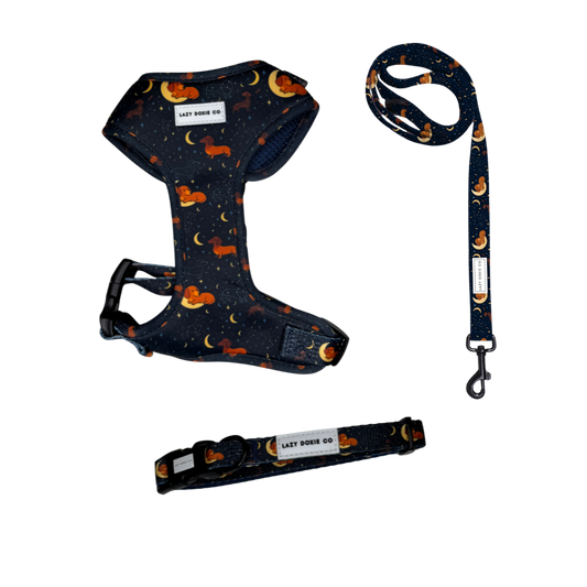 Snag+Go Harness Bundle - Dashtrology