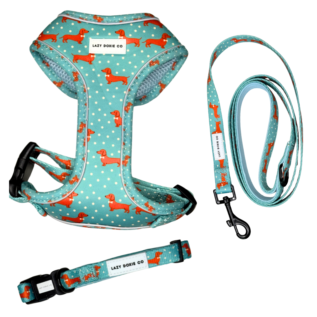 Snag + Go Bundle - Lazy Doxie Co