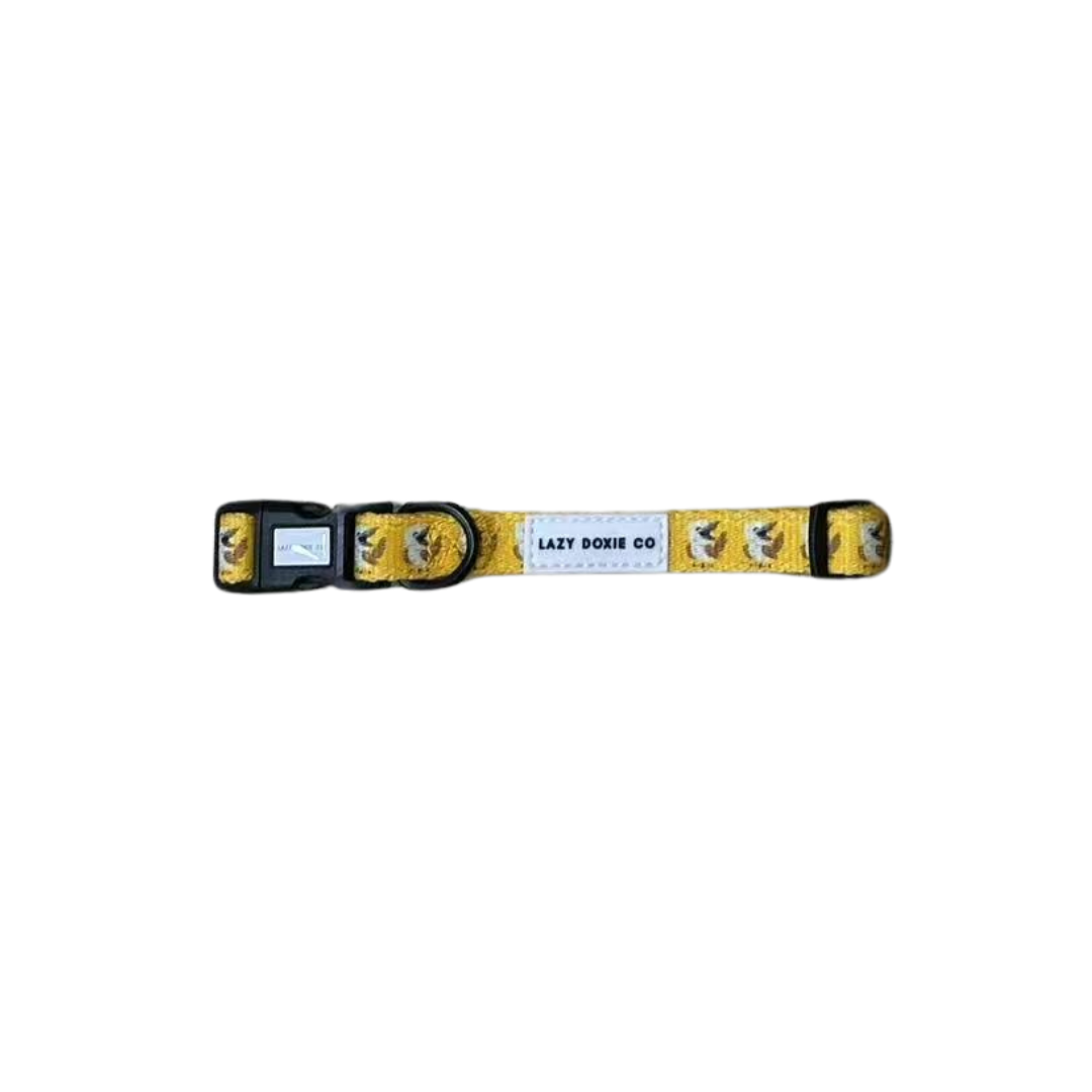 Collar - Snagaburra - Lazy Doxie Co