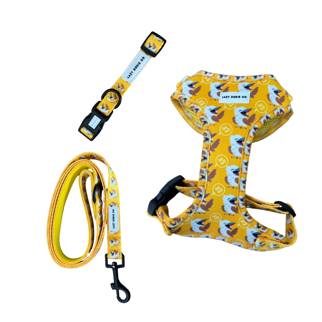 Snag + Go Bundle - Snagaburra - Lazy Doxie Co