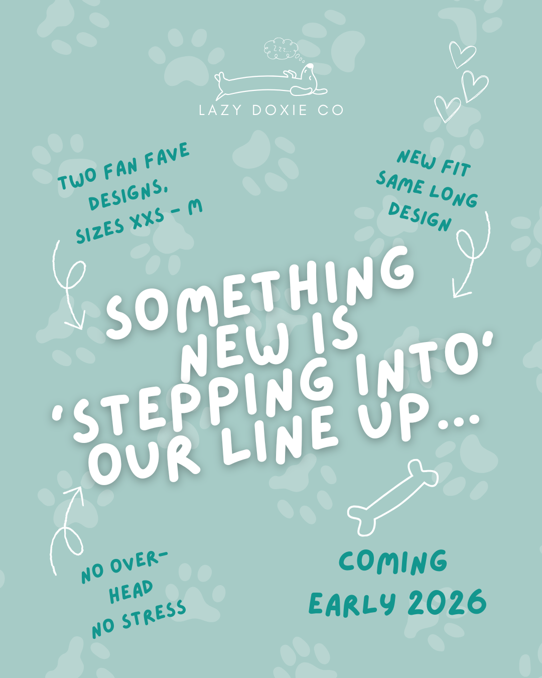 Dachshund Harness - 'Dashtrology'