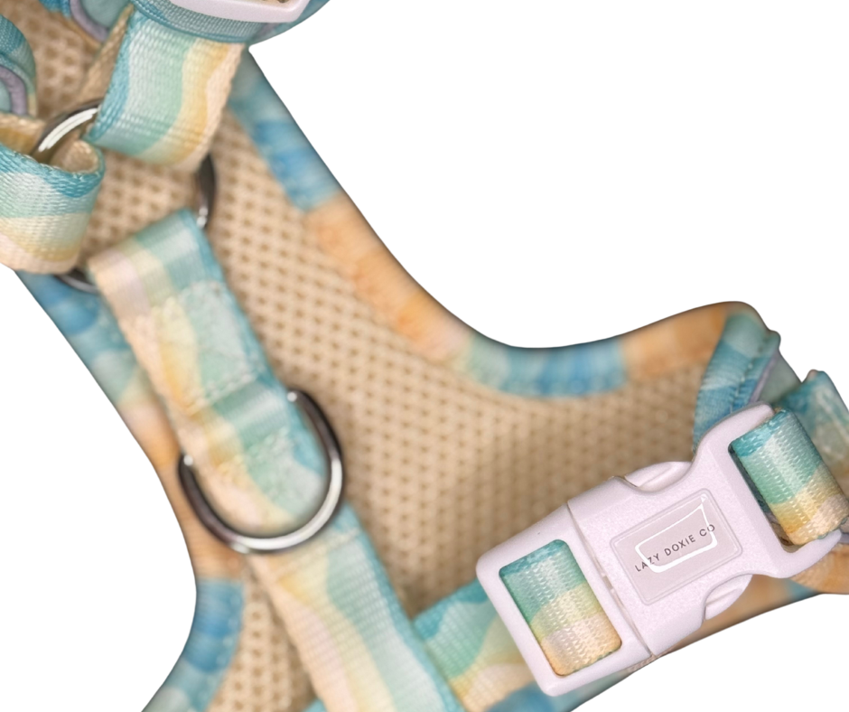 Snag + Go Bundle - Surf's Pup