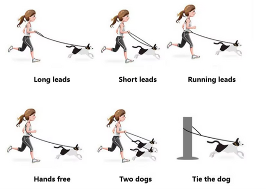 Mulit-Functional Rope Leash - Mint to Adventure