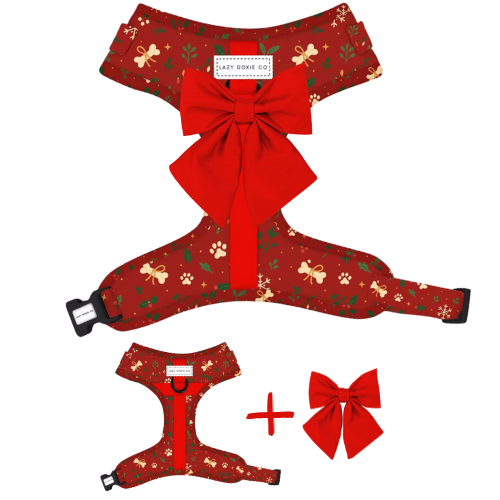 Snag + Go Bundle - Santa's Little Gift