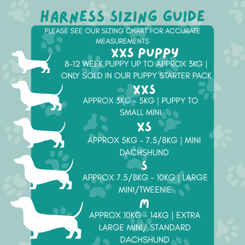 Snag + Go Bundle - Harness Bundle - Lazy Doxie Co