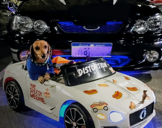 Snagbassador Spotlight – Jesse the Speedie Weenie - Lazy Doxie Co