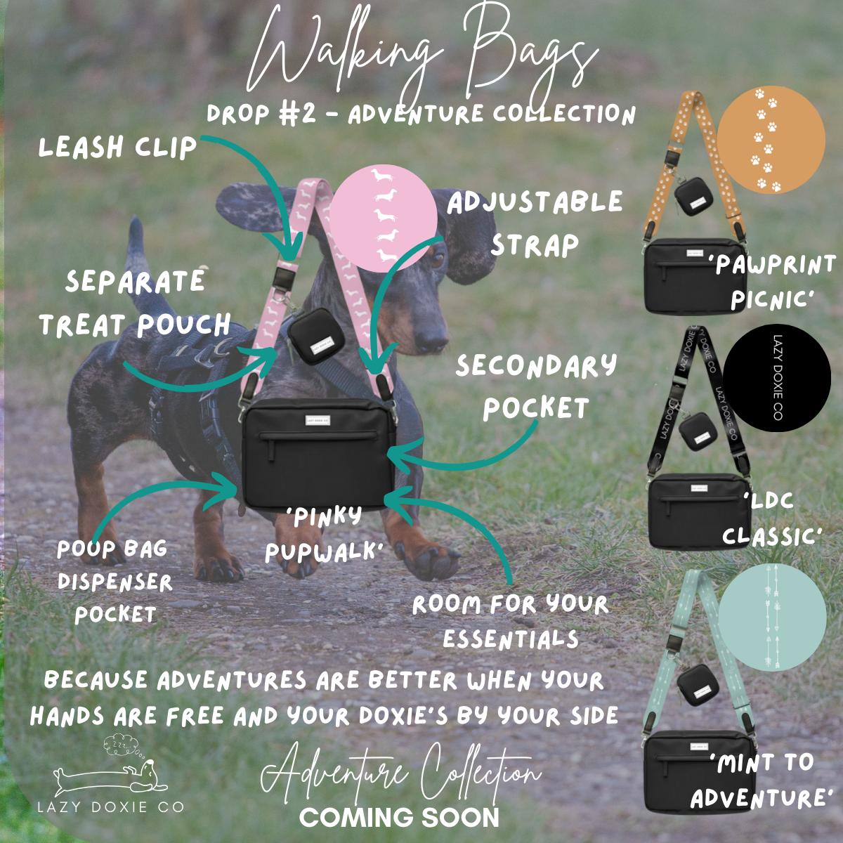 WALKING BAGS