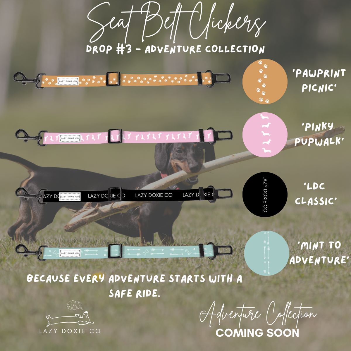 CAR SEAT BELT LEASHES