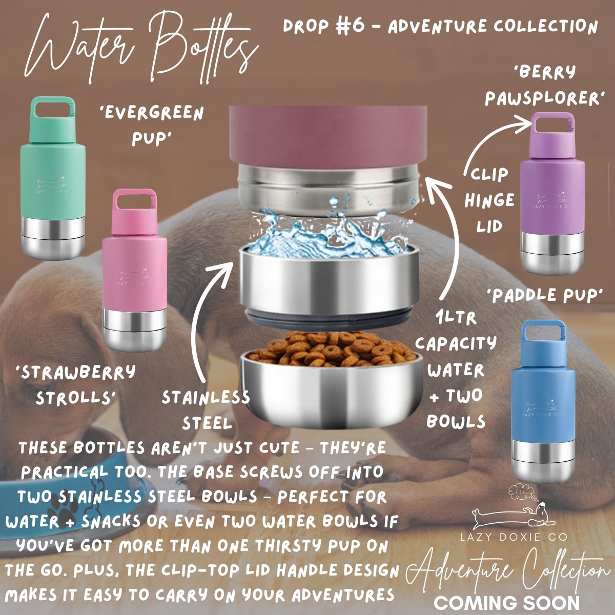 Multifunction Water Bottles