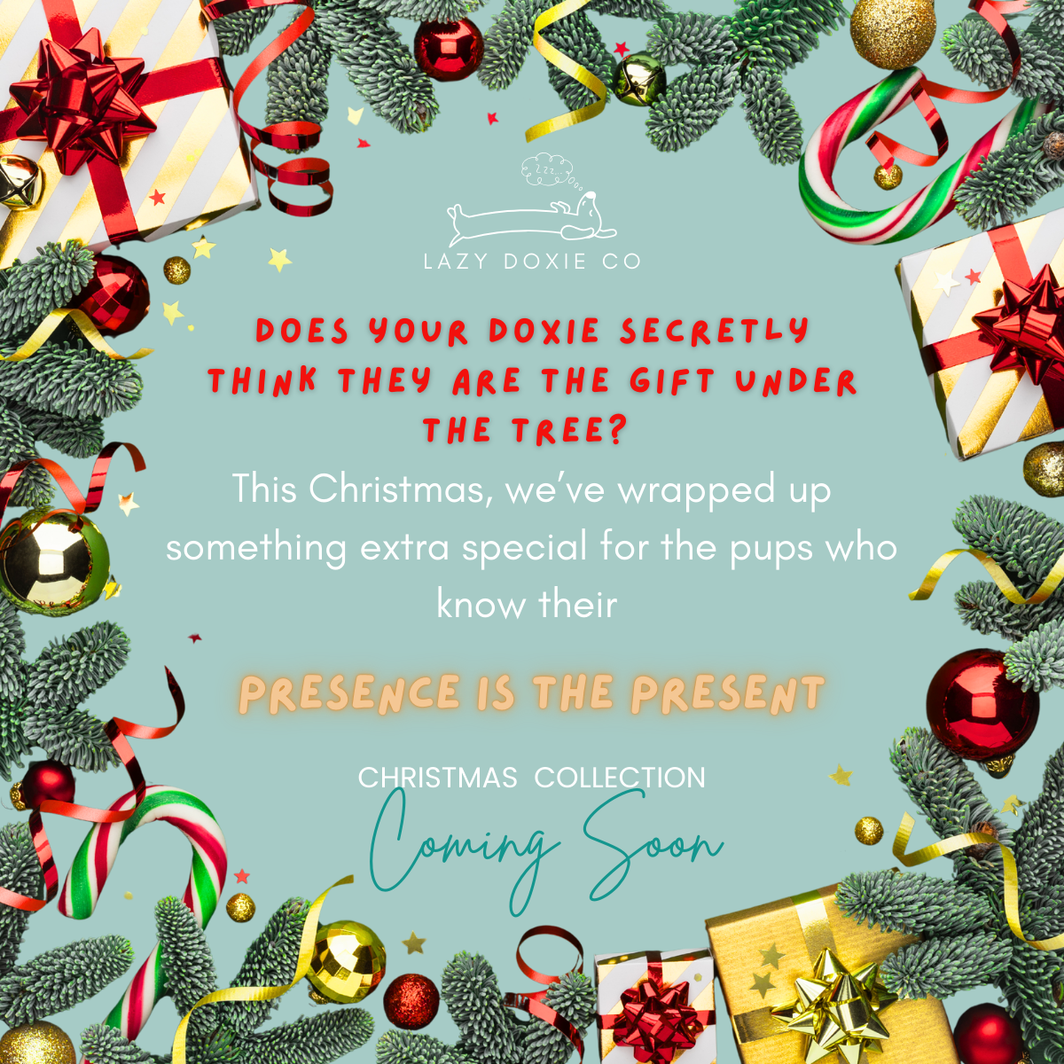 Christmas 2025 Collection