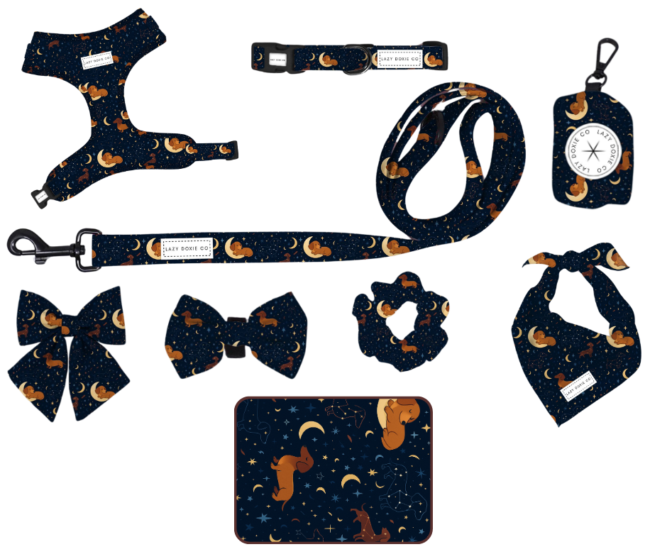 Dashtrology Collection