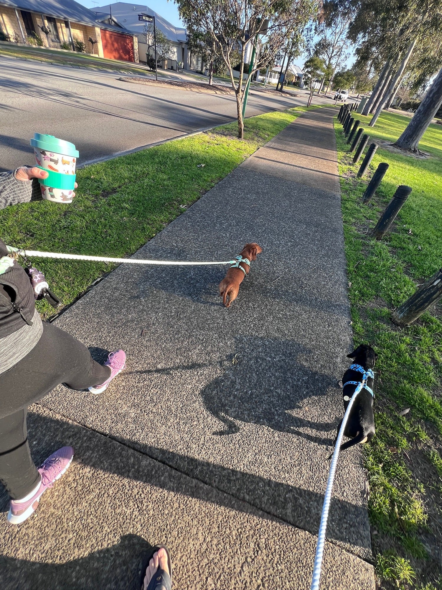 Walkies