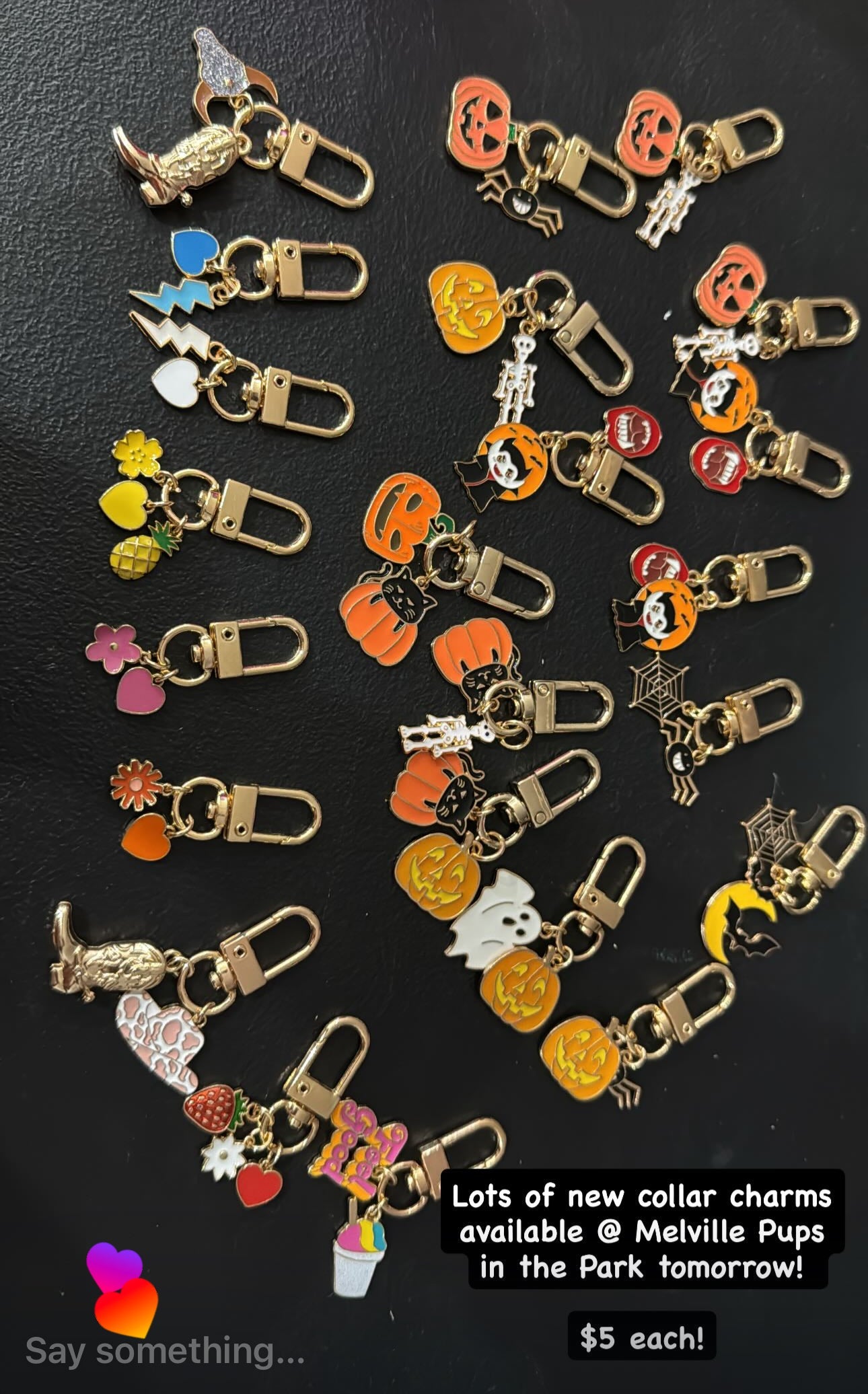 Harness/Collar Charms + Accessories