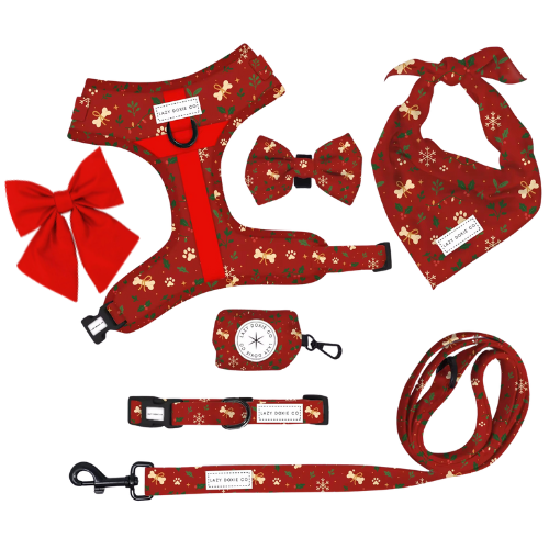 Santa's Little Gift Collection