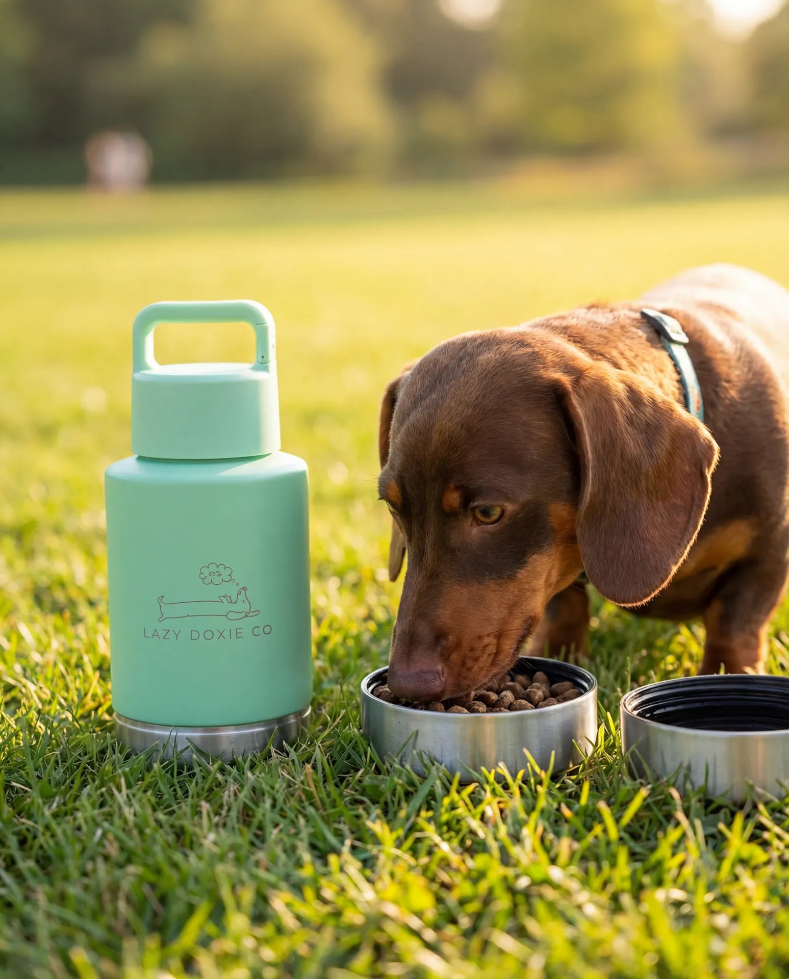 1ltr Water Bottles with Dual Bowls - Lazy Doxie Co