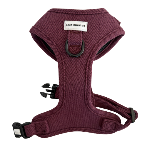 Over-Head Tweed Dachshund Harness