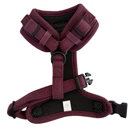 Over-Head Tweed Dachshund Harness