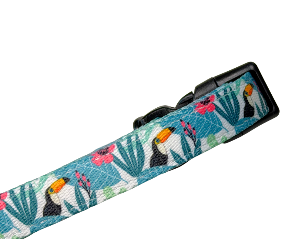 Dachshund Collar - 'Doxiecana'