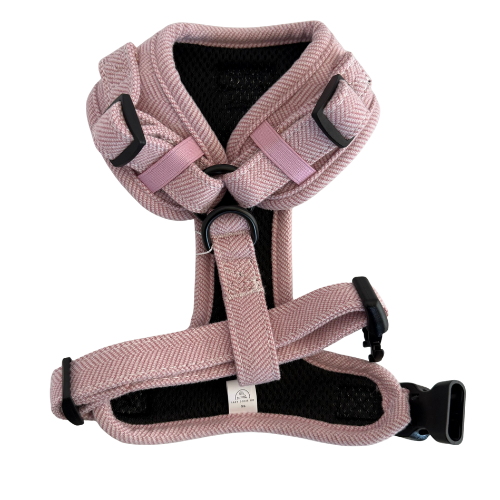 Over-Head Tweed Dachshund Harness